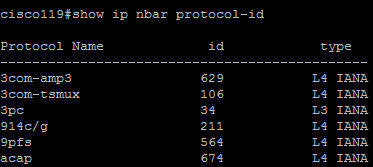Figura 4: Comando "show ip nbar protocol-id"