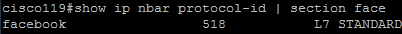 Figura 5: Comando "show ip nbar protocol-id | section face"
