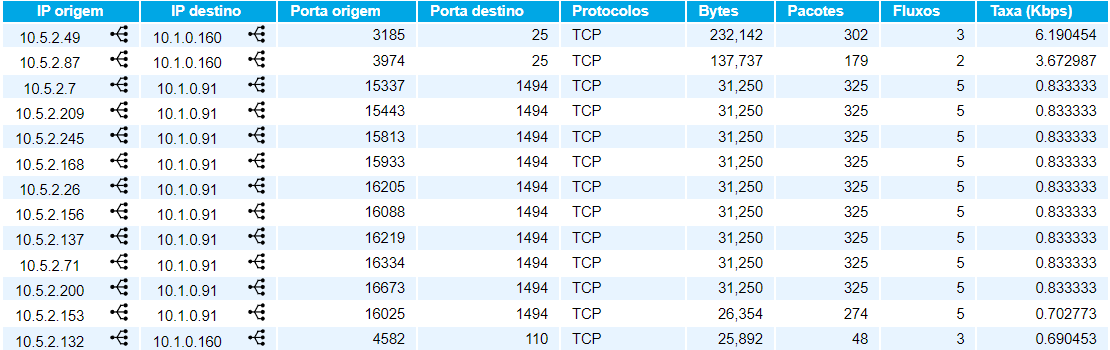 Trecho do relatório de dados brutos